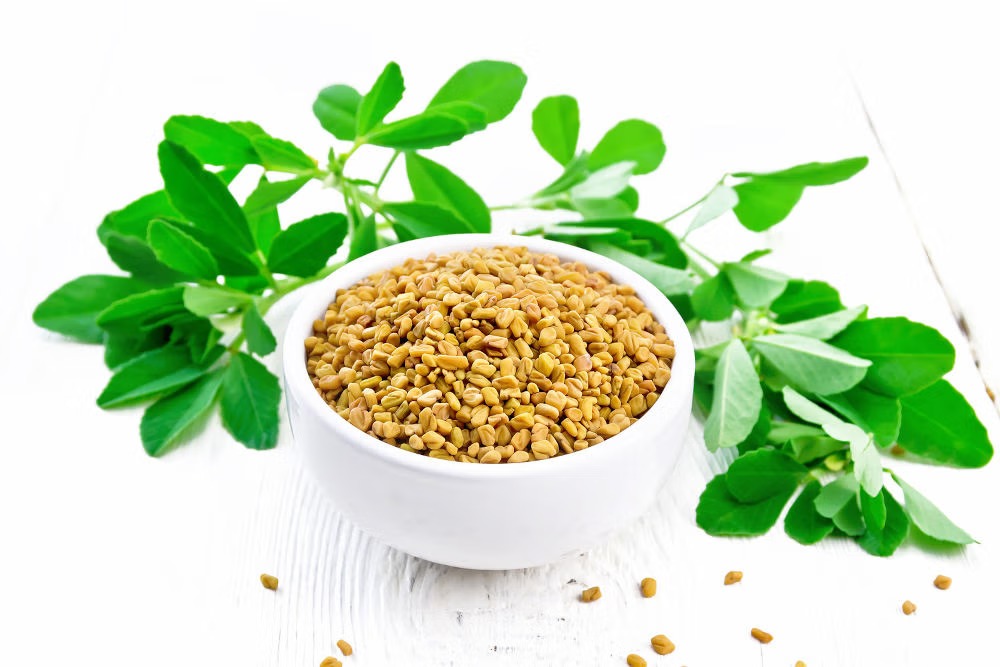 Fenugreek